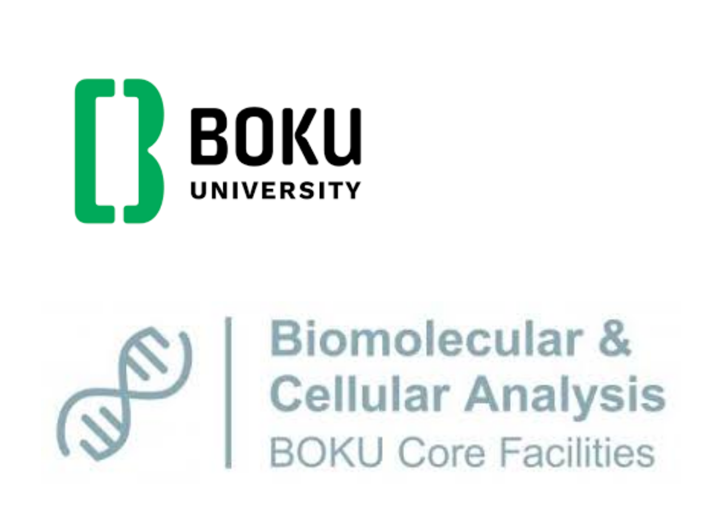 boku-small
