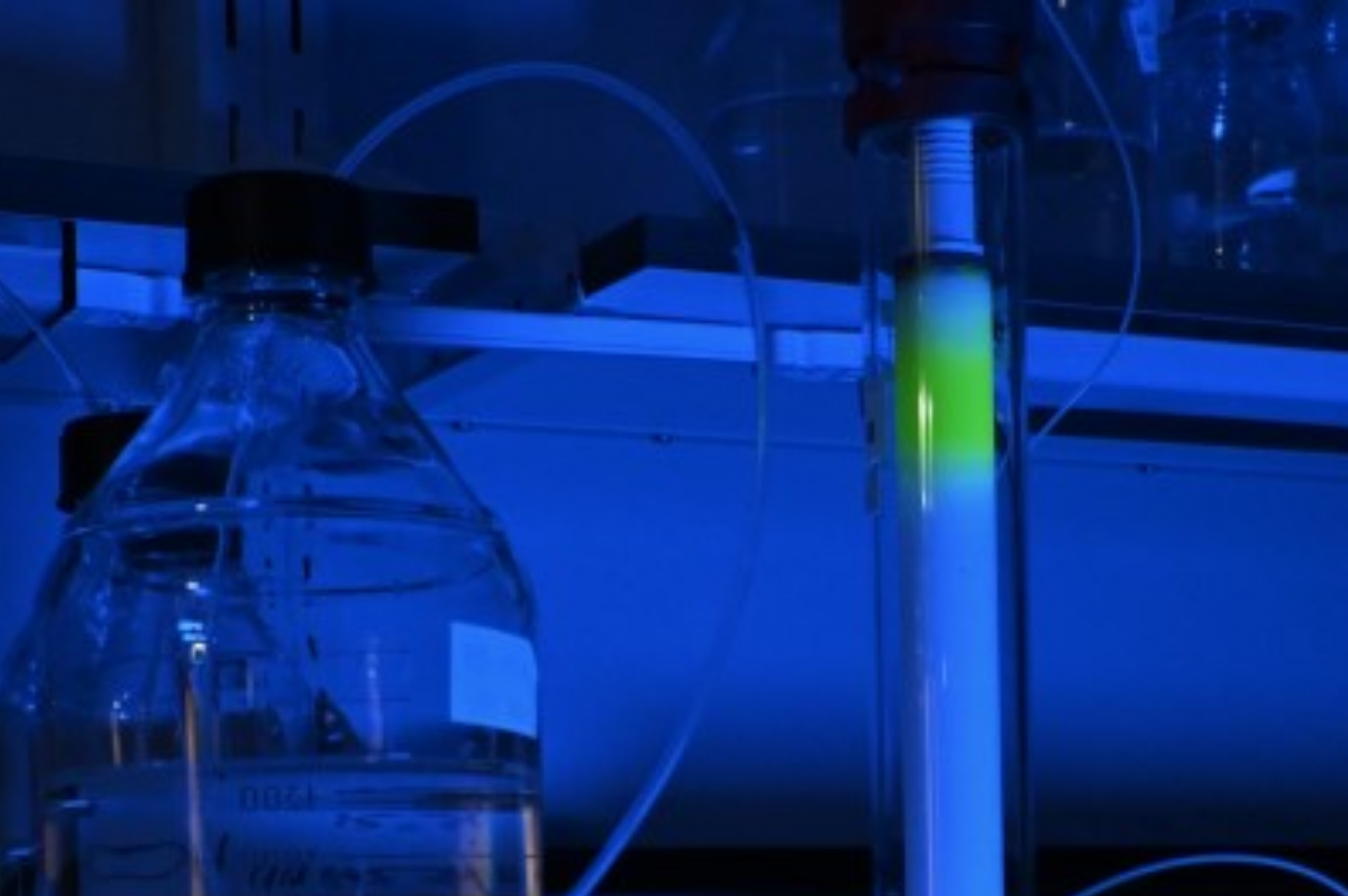 SEC column with GFP eluting