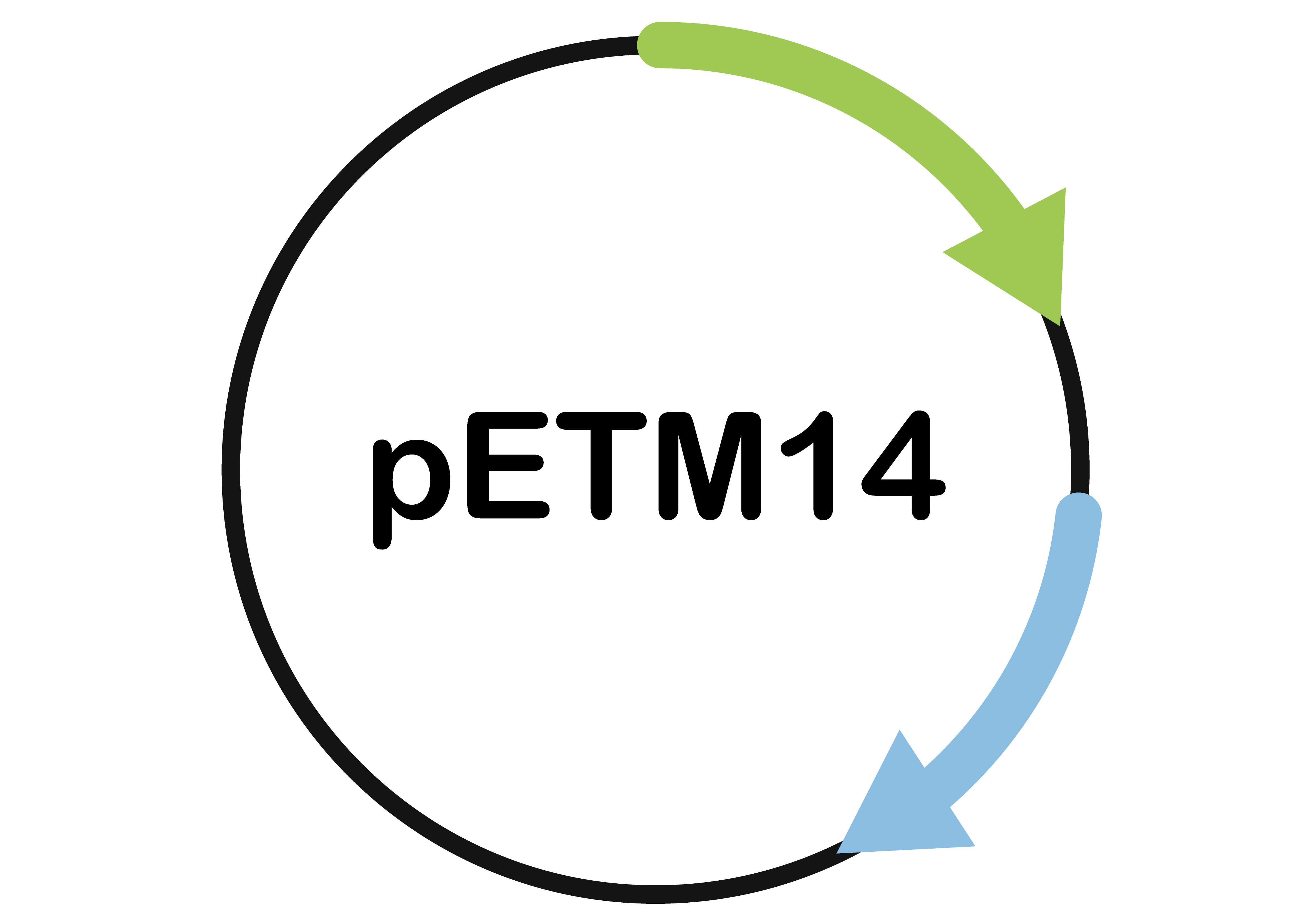 Schematic of a vector map